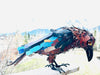 AZULE (BLUE RAVEN)