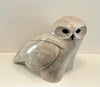 SNOWY OWL