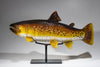 BROWN TROUT #250210-1