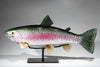 RAINBOW TROUT #250211-1