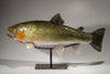 CUTTHROAT TROUT #250712-3