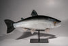 COHO SALMON #251112-5