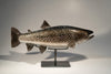 BULL TROUT #260904-2
