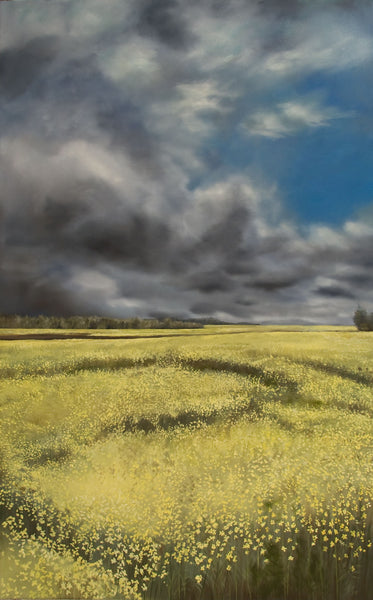 CANOLA 11006