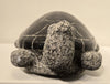 WELCOME TO TURTLE ISLAND