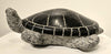 WELCOME TO TURTLE ISLAND