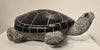 WELCOME TO TURTLE ISLAND