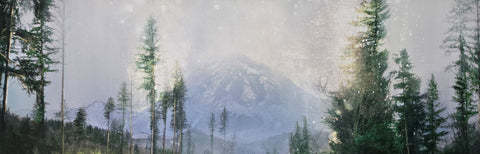 MOUNTAIN GOLD