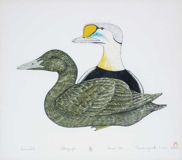 Kananginak Pootoogook artwork 'AMAULIK - EIDER DUCKS  1977  12/50' available at Canada House Gallery - Banff, Alberta
