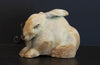 Elizabeth Harris artwork 'HARE UNDER THERE' available at Canada House Gallery - Banff, Alberta
