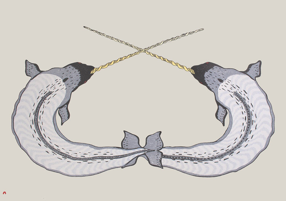 Quvianaqtuk Pudlat artwork 'SPARRING NARWHALS P' available at Canada House Gallery - Banff, Alberta