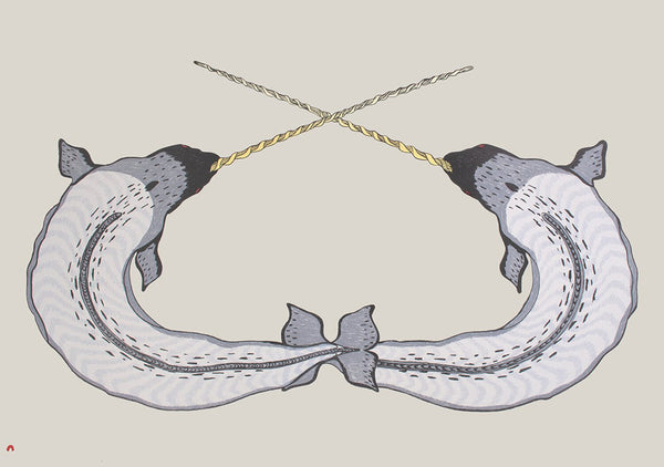 Quvianaqtuk Pudlat artwork 'SPARRING NARWHALS P' available at Canada House Gallery - Banff, Alberta