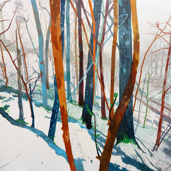Steven Nederveen artwork 'THE VIBRANT INNER LIFE OF TREES' at Canada House Gallery