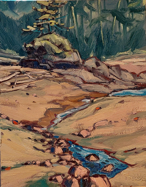 Dominik J Modlinski artwork 'PALMERSTON BEACH' at Canada House Gallery