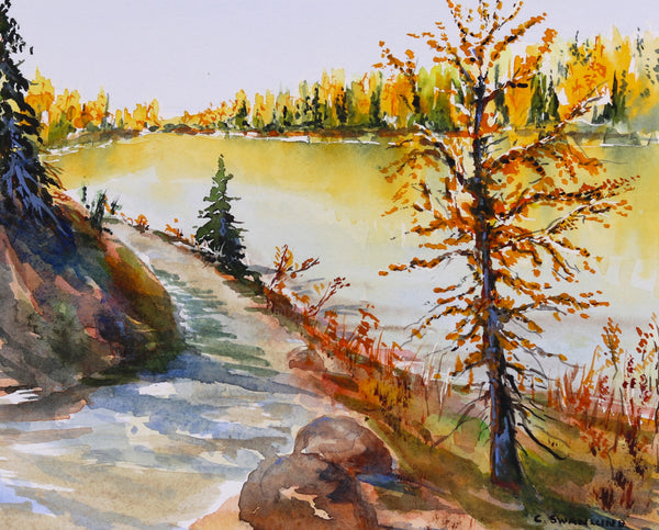 Cliff Swanlund artwork 'LARCHES AT GRIZZLY LAKE' at Canada House Gallery