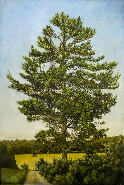 Stephen Hutchings artwork 'KINGS PINE (WITH A ROAD)' at Canada House Gallery